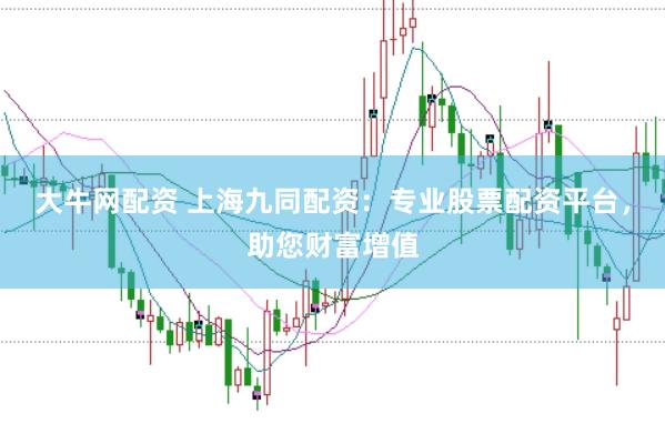 大牛网配资 上海九同配资：专业股票配资平台，助您财富增值