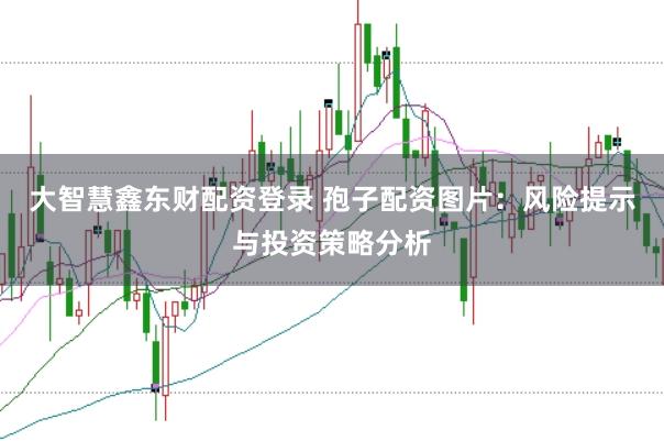 大智慧鑫东财配资登录 孢子配资图片：风险提示与投资策略分析