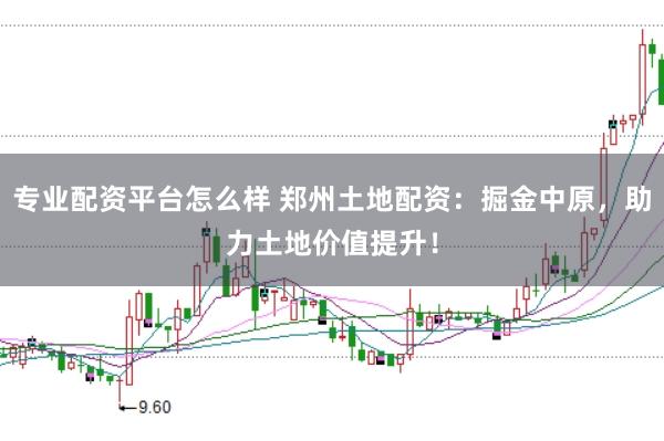 专业配资平台怎么样 郑州土地配资：掘金中原，助力土地价值提升！