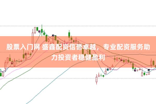 股票入门网 盛鑫配资信誉卓越，专业配资服务助力投资者稳健盈利