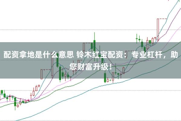 配资拿地是什么意思 铃木红宝配资：专业杠杆，助您财富升级！