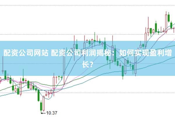 配资公司网站 配资公司利润揭秘：如何实现盈利增长？