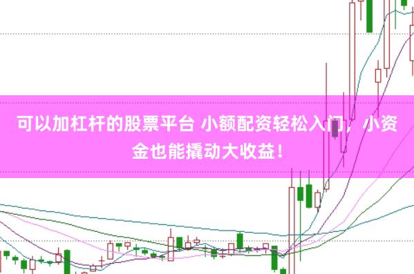 可以加杠杆的股票平台 小额配资轻松入门，小资金也能撬动大收益！