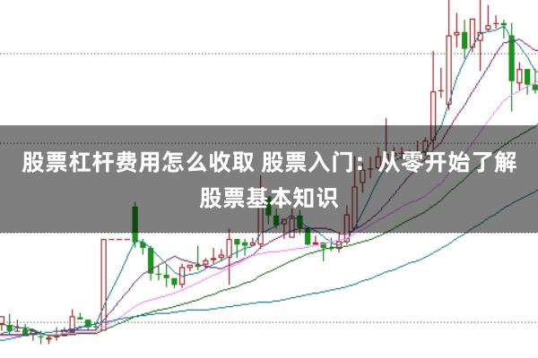 股票杠杆费用怎么收取 股票入门：从零开始了解股票基本知识