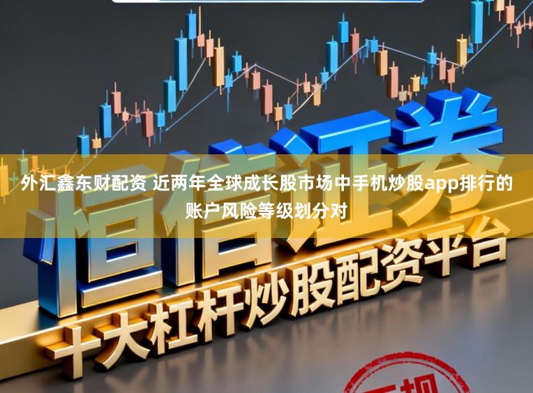 外汇鑫东财配资 近两年全球成长股市场中手机炒股app排行的账户风险等级划分对