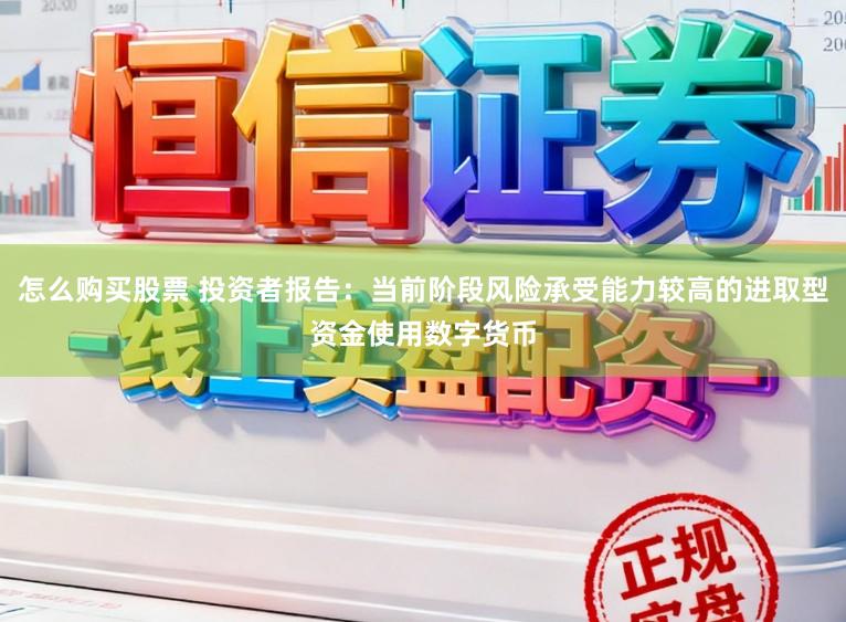 怎么购买股票 投资者报告：当前阶段风险承受能力较高的进取型资金使用数字货币