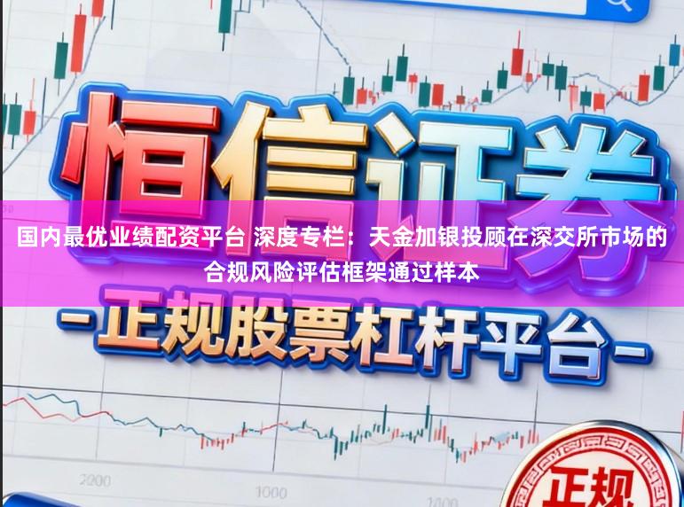国内最优业绩配资平台 深度专栏：天金加银投顾在深交所市场的合规风险评估框架通过样本