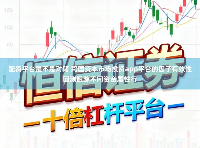 配资平台是不是对赌 跨国资本市场投资app平台的因子有效性回测跟踪不同资金属性行