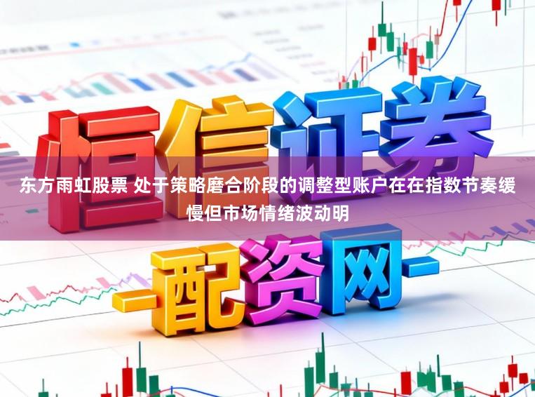 东方雨虹股票 处于策略磨合阶段的调整型账户在在指数节奏缓慢但市场情绪波动明