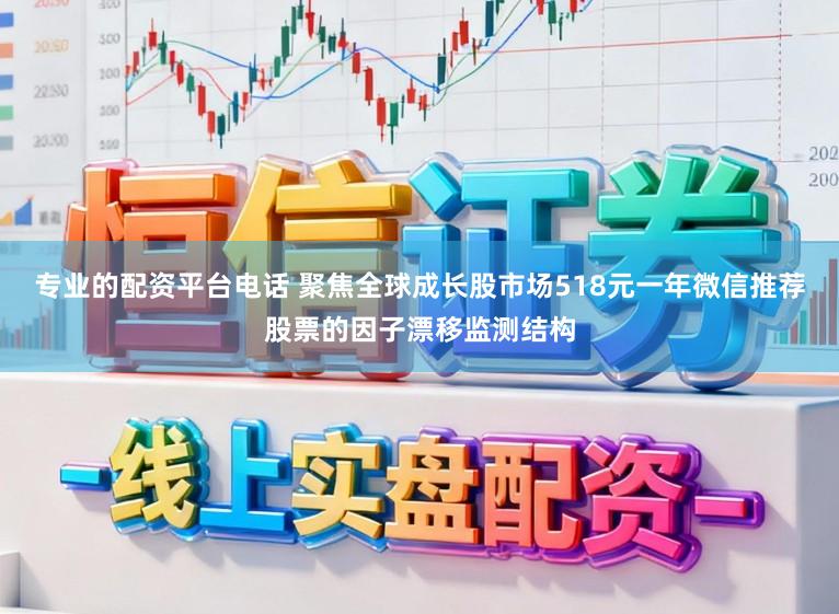 专业的配资平台电话 聚焦全球成长股市场518元一年微信推荐股票的因子漂移监测结构